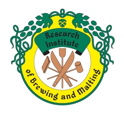 RIBM